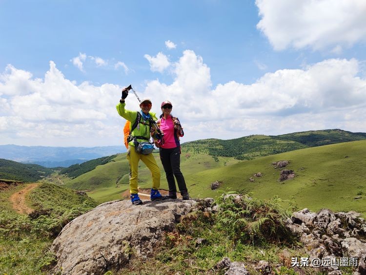 蓝天白云绿草间,蓝天白云草原绿草茵茵风景秀丽