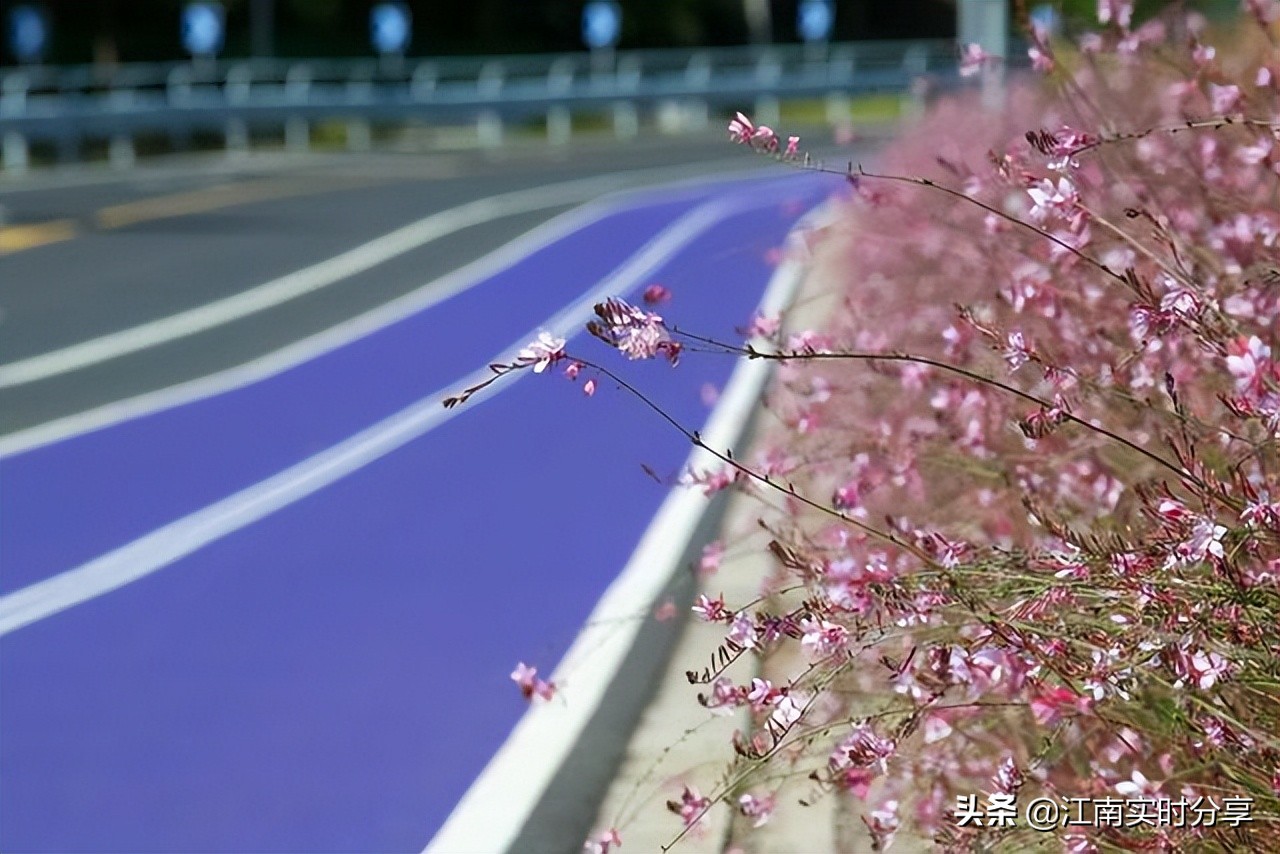 宫崎骏的绝美风景,治愈系宫崎骏夏日风景