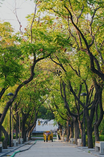 天津计算机好的大学,在天津学电脑哪里好