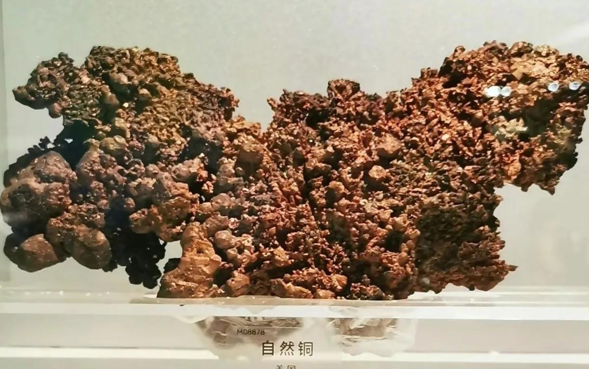 中国地质博物馆藏宝图,国家地质博物馆藏品