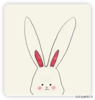 一只蓝色兔子是什么品种,一只蓝兔子