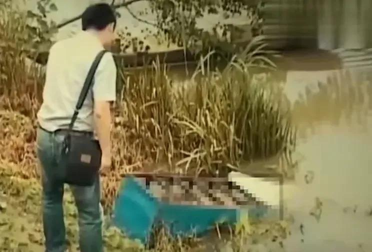 惊人案件人性黑暗江苏孕妇被活活勒死*体下**挂婴儿凶手回应令人发指