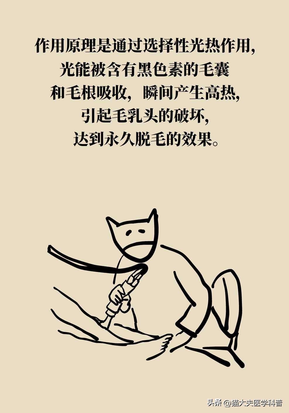 激光永久脱毛一般多少钱,永久激光脱毛是不是骗人的