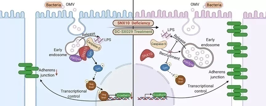 复旦科研成果有哪些,复旦7月科研成果上新科研速递