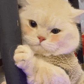 微信上线刷掌支付开通,微信掌刷支付怎么开通权限