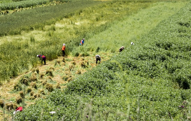 在台湾生活是什么感觉,在台湾生活幸福指数高吗