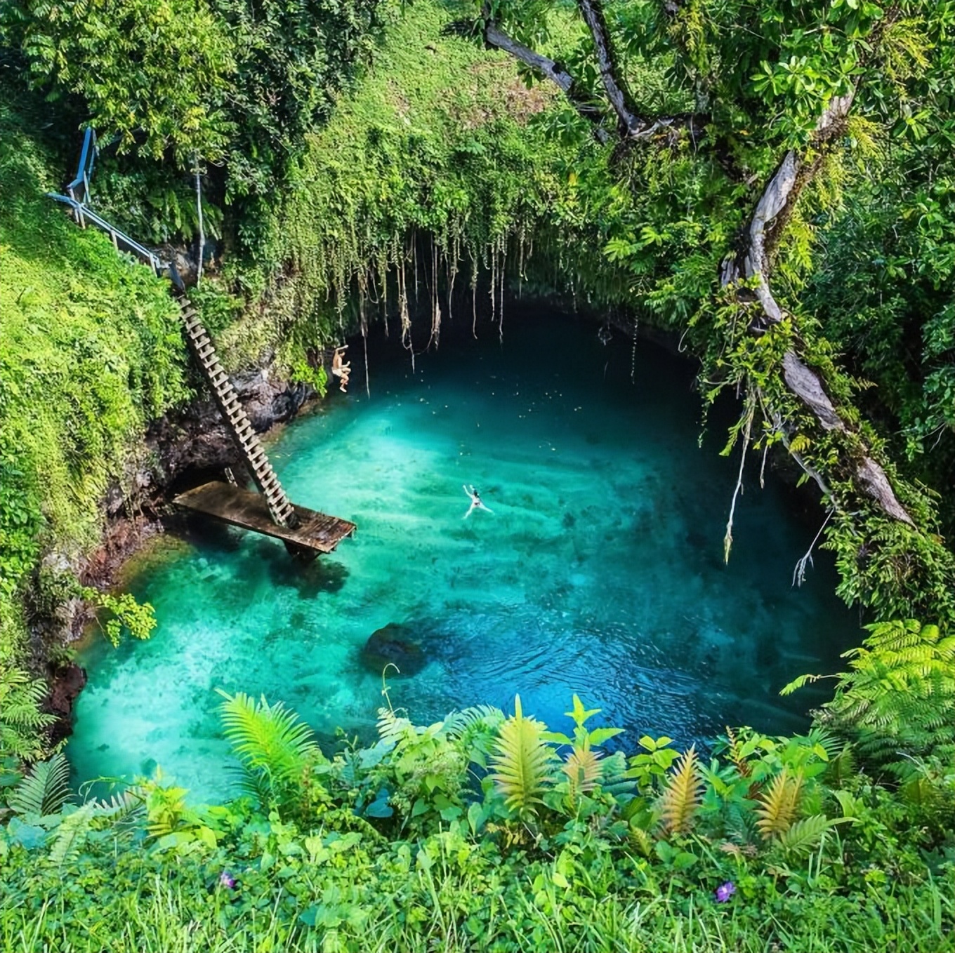 萨摩亚人有隐私吗,萨摩亚人没有隐私吗