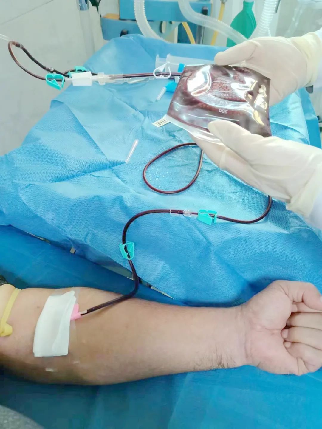 自体血疗法是医疗手段吗,自体血疗法