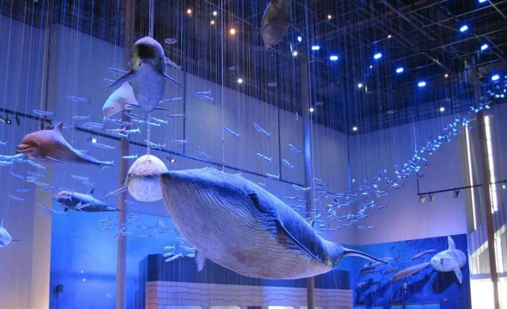 嵊泗本岛攻略：泗礁的沙滩+渔村+日出日落+小岛风情！