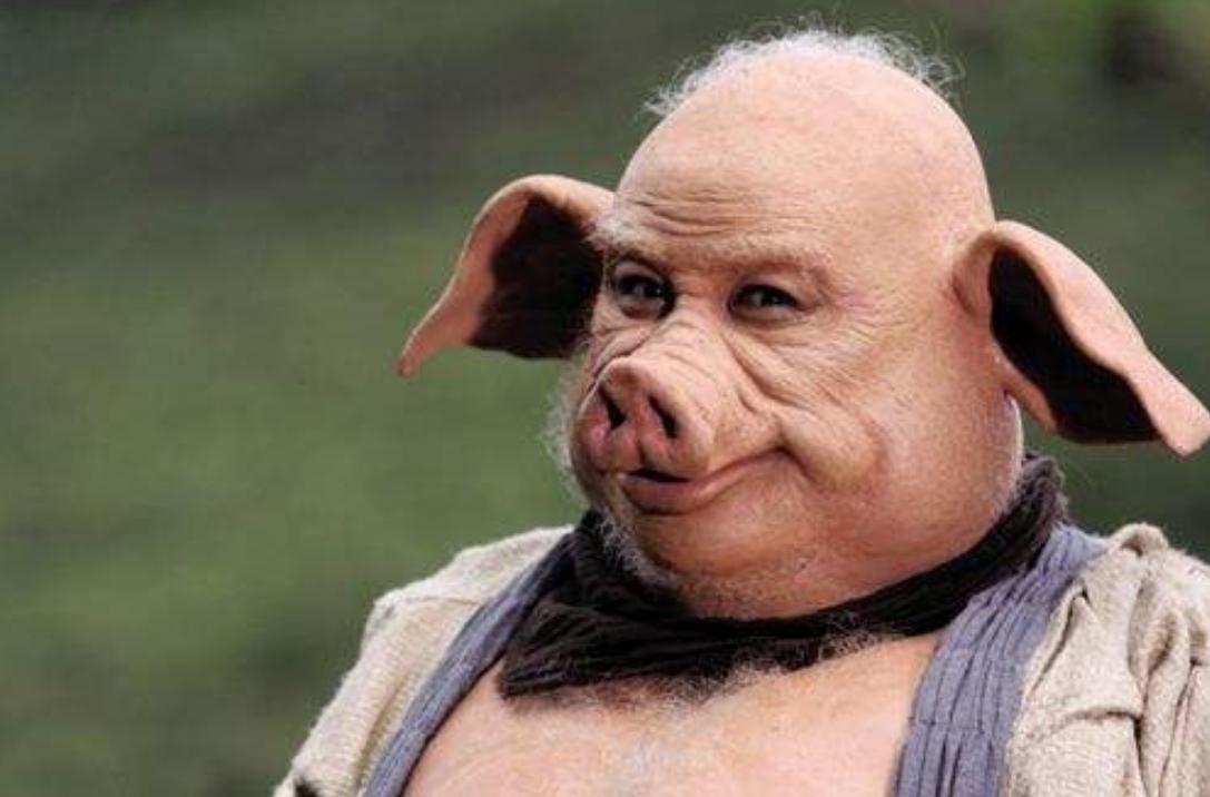 西游记猪八戒真的有那么笨吗,西游记猪八戒不可告人的秘密