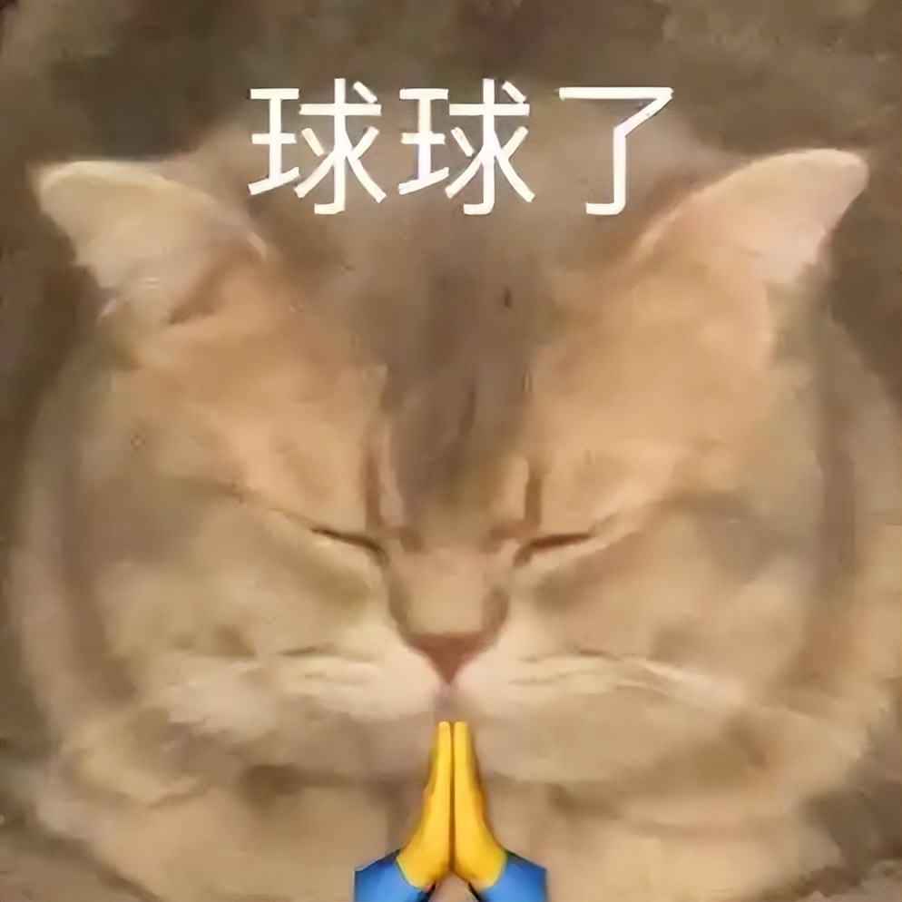 不想买皇家猫粮，但被医生拿捏了