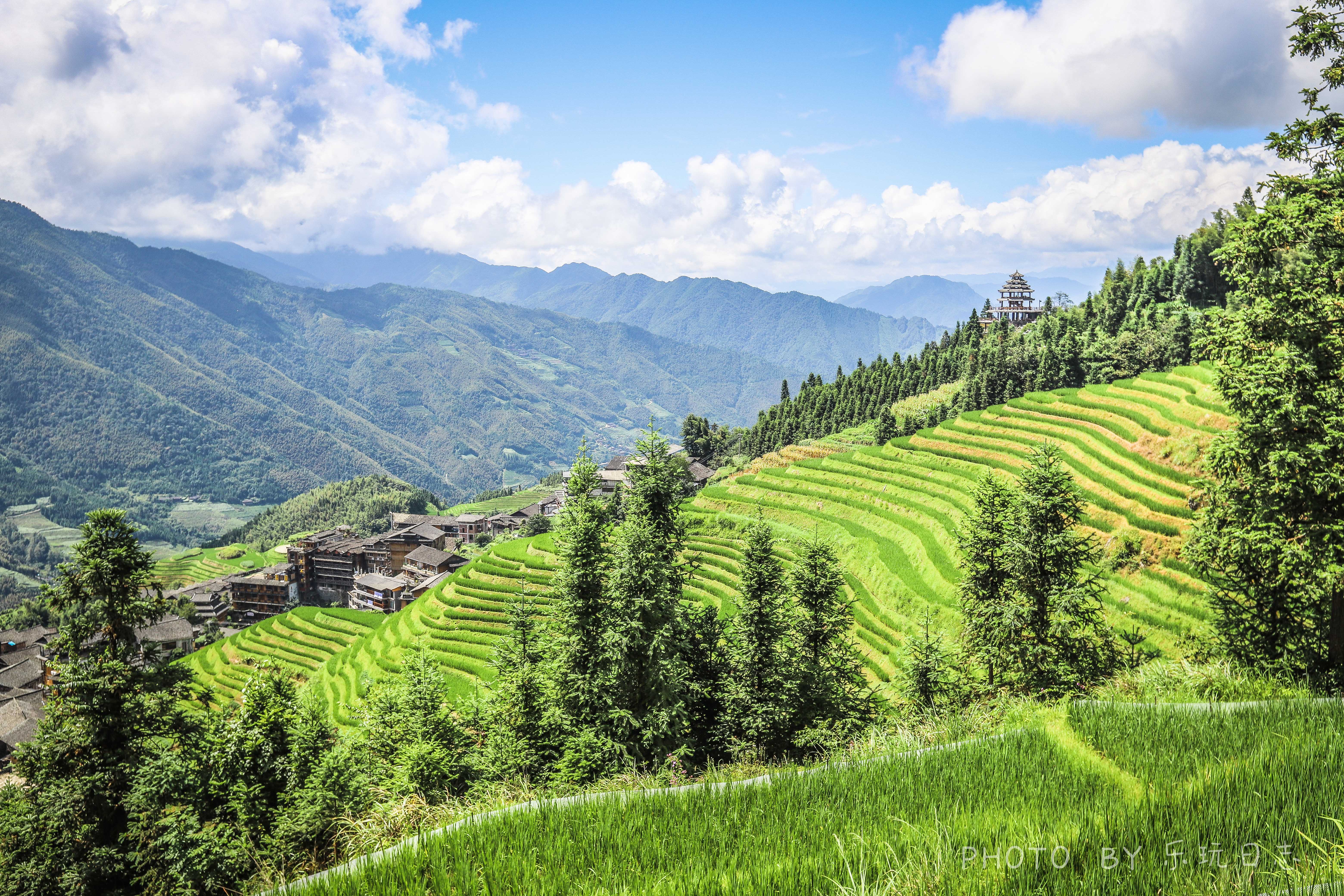 龙脊水稻梯田图片,龙脊水稻