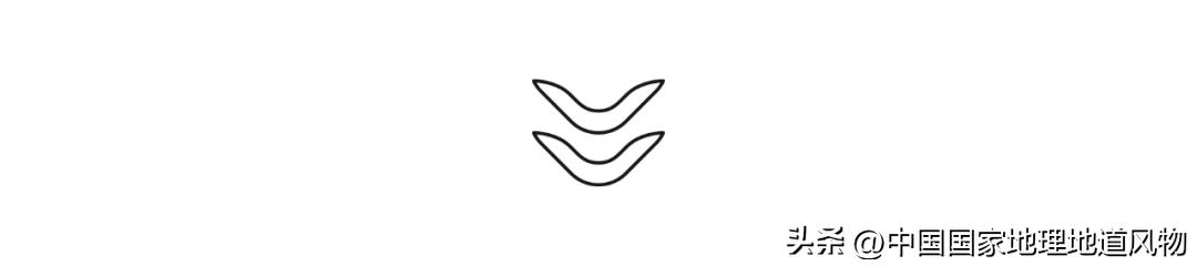 红高粱里的酒为什么是红的,红高粱里酒怎么是红的