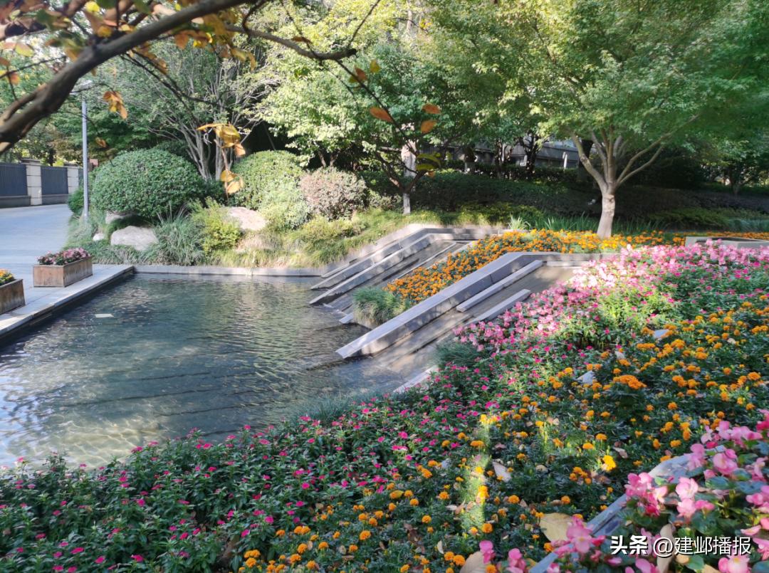 治安秩序优秀小区名单,治安管理好的小区物业费