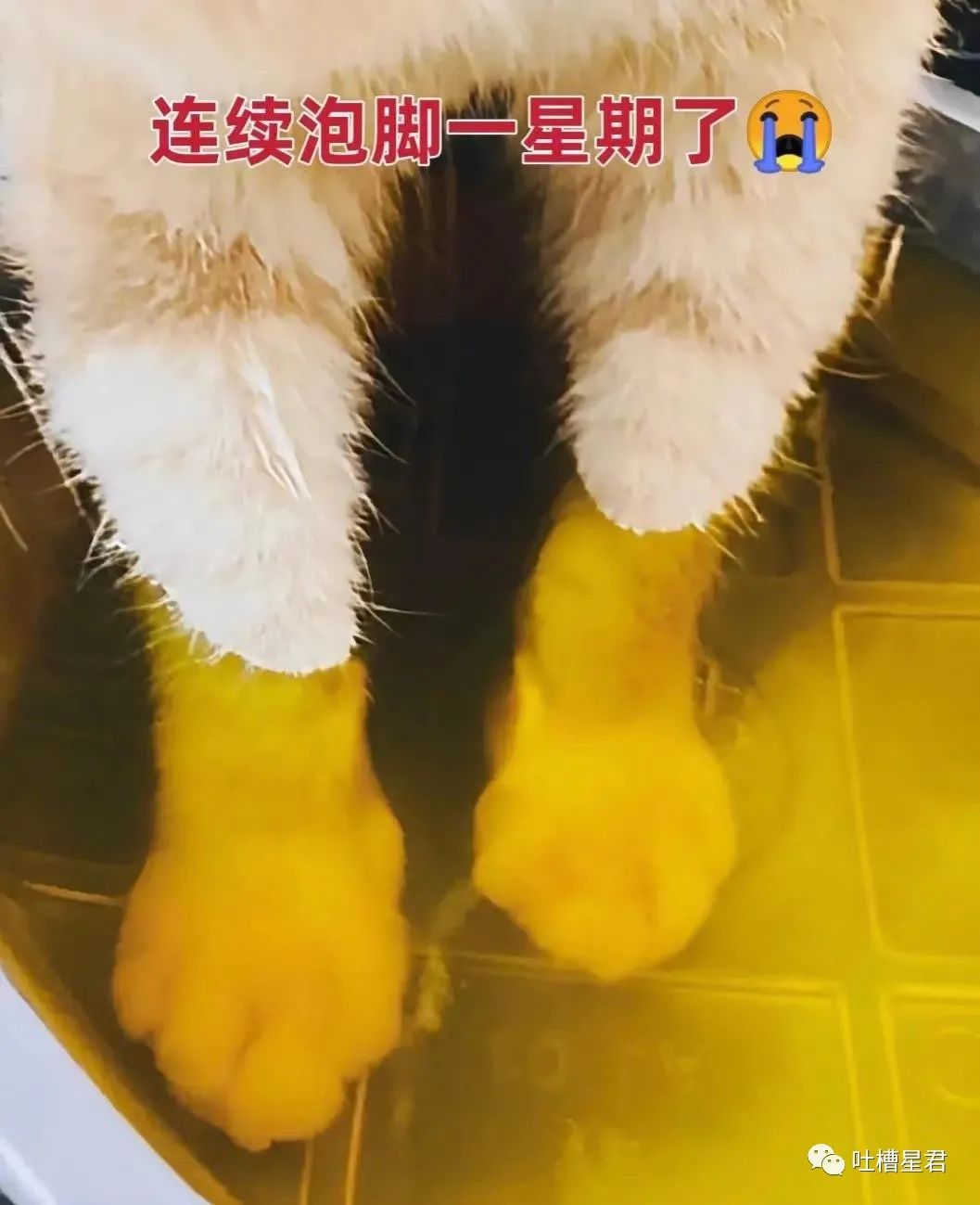 千万不要乱起淘宝名字,千万不要随便起淘宝名