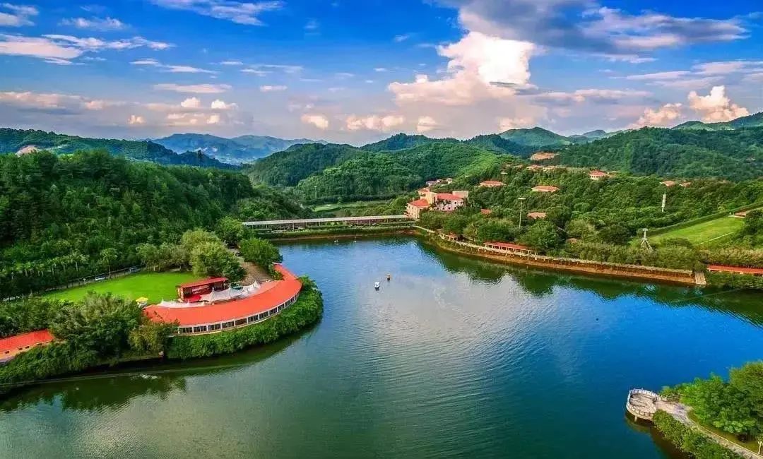 住在森林里体验野奢宿营生活,住在森林城市是一种怎样的体验