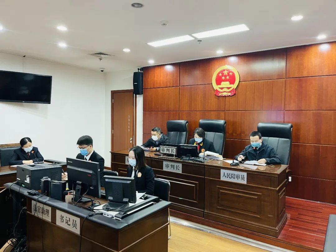 爱马仕售假团伙判刑,北京丰台区保健品诈骗案件判刑