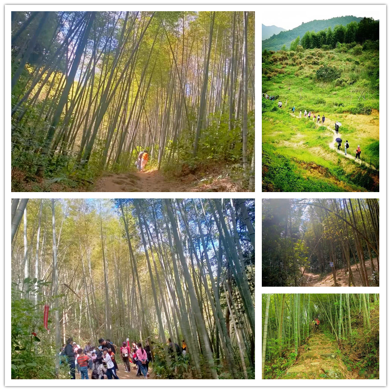 从化赏花旅游攻略景点必去,从化梅花节自驾游路线图最新