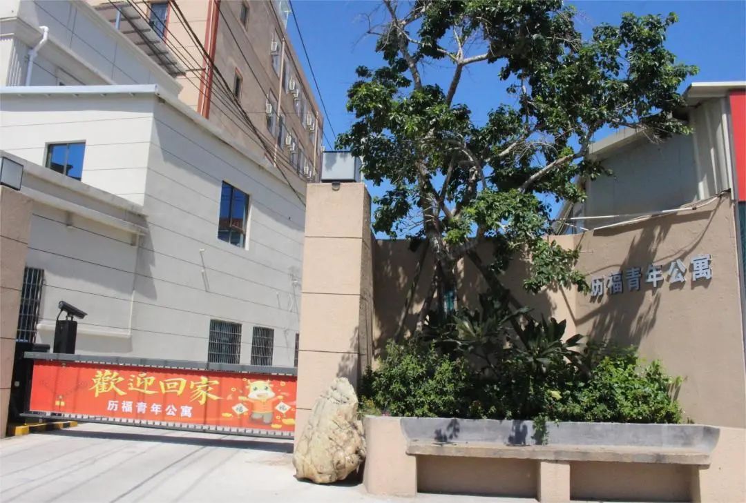 年轻人都爱来！“流量密码”被后溪村玩明白了！