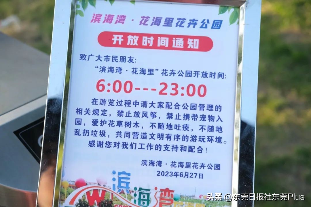 东莞可以看海和赏花的公园,东莞国庆看海游玩推荐