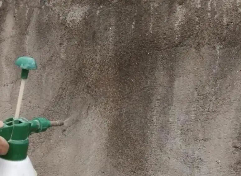 防水起粉怎么解决,做好的防水出现细小裂缝