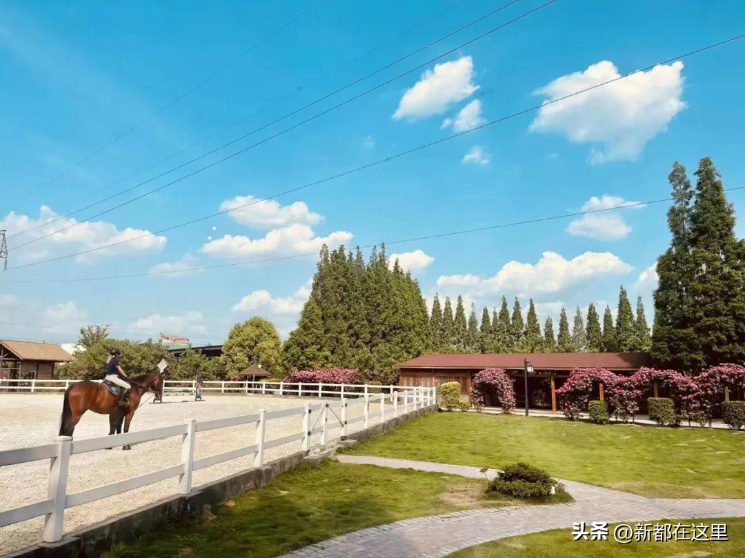 童鞋六月份做啥活动,童鞋六岁孩子