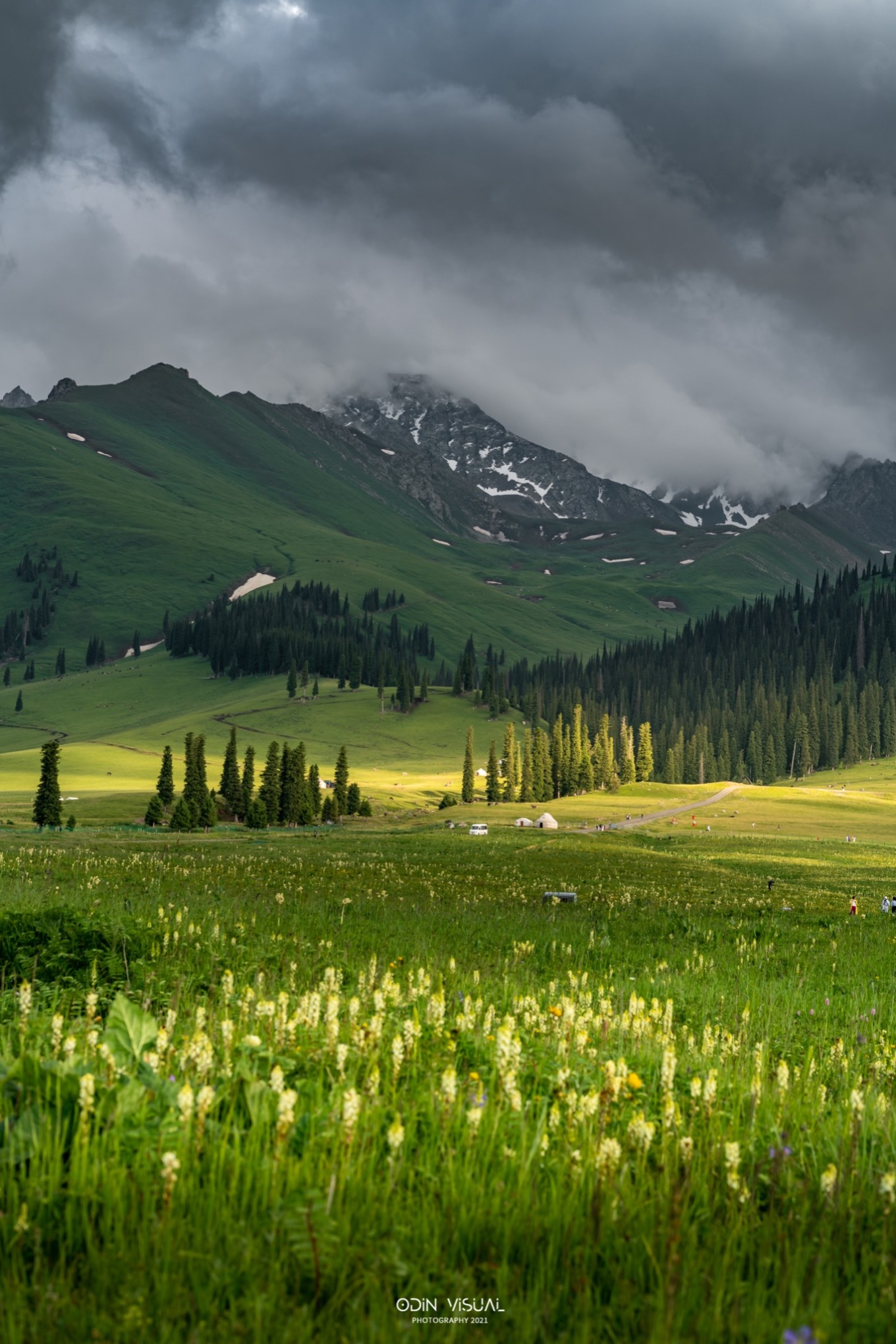 去新疆发现伊犁的美,世界之美尽在伊犁