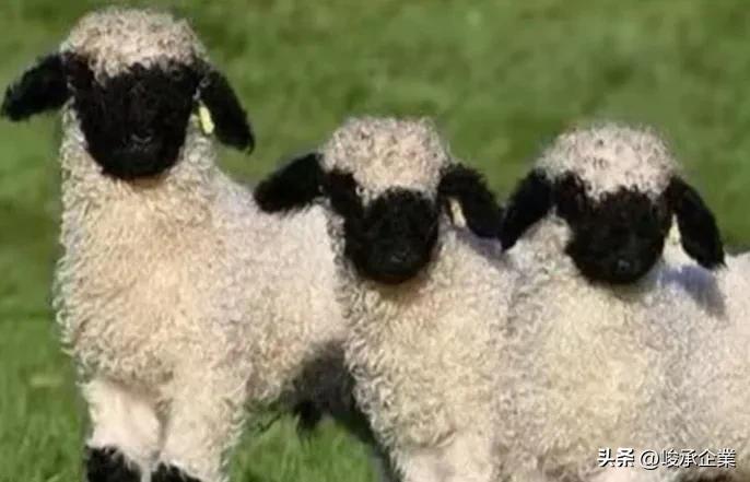 学校已经发现阳性了要怎么做,学生阳性学校怎么处理