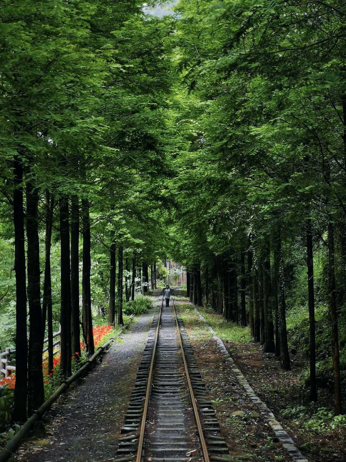 乐山异国风情打卡新去处,乐山游玩攻略及人文风情