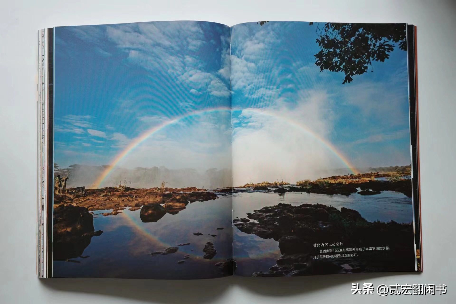 好想去非洲看动物大迁徙呀!先靠这书解馋吧