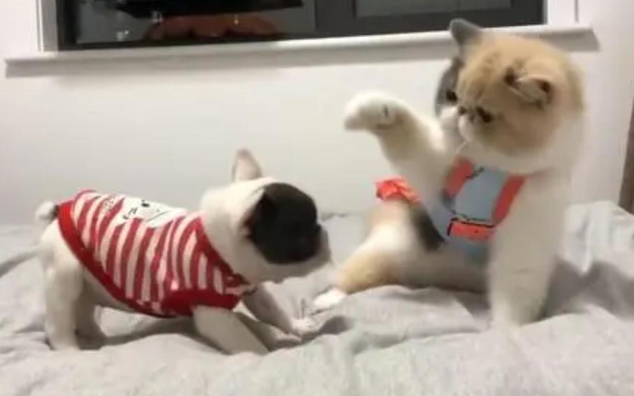 摆脱了脱发的烦恼,脱发真的别折腾了该脱还是脱