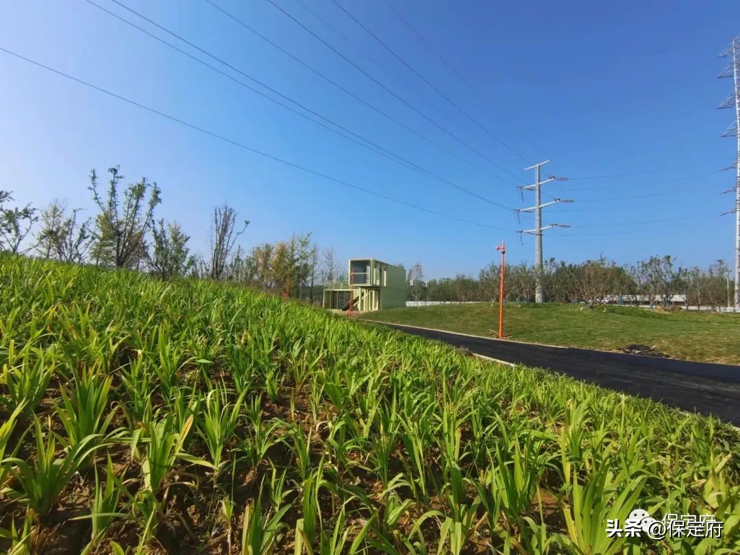 保定建设品质生活之城规划,保定品质之城规划