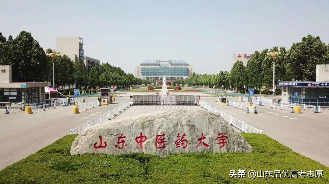 2021年山东中医药大学录取分数线