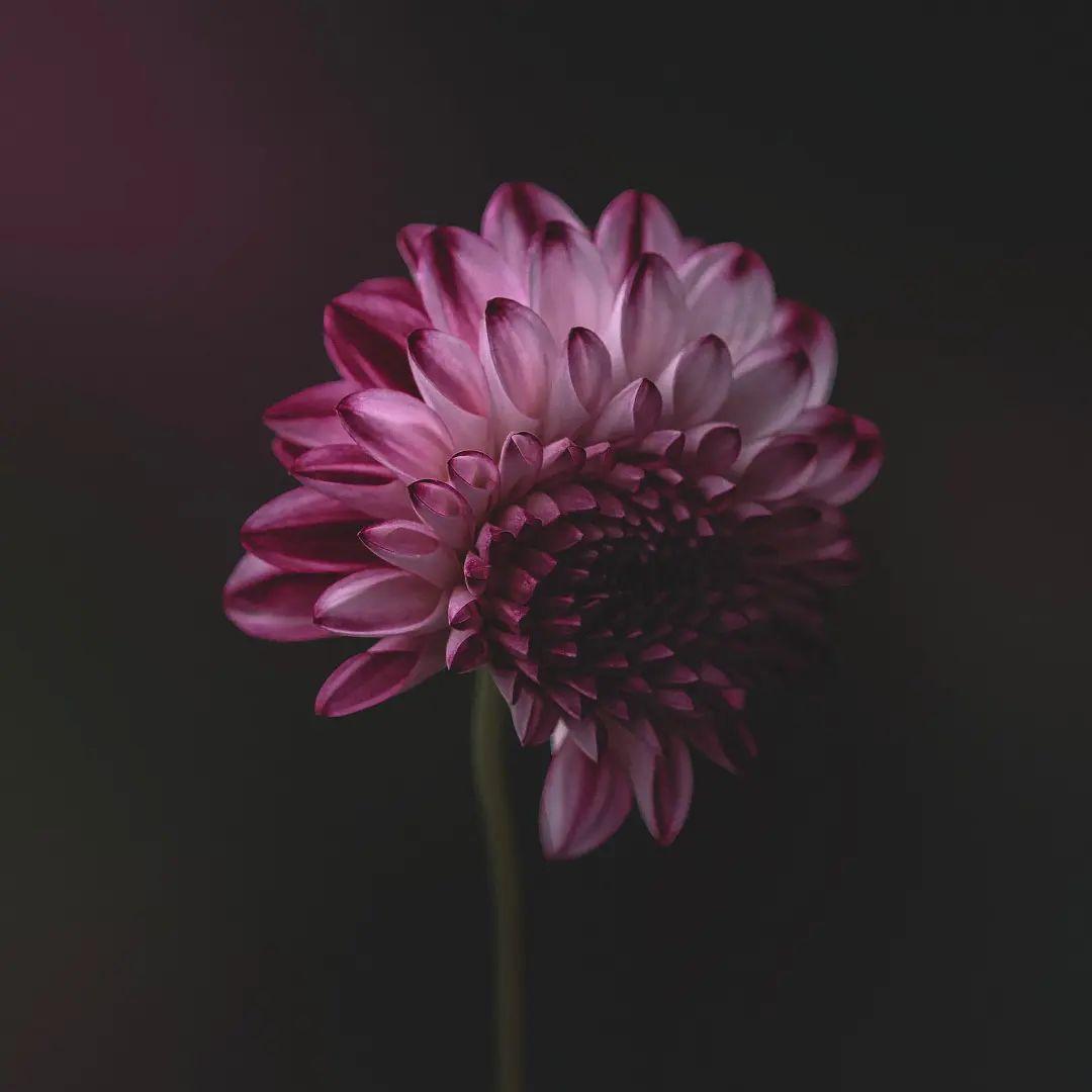 人心凉了很疲惫的伤感说说短句,心力憔悴的唯美句子