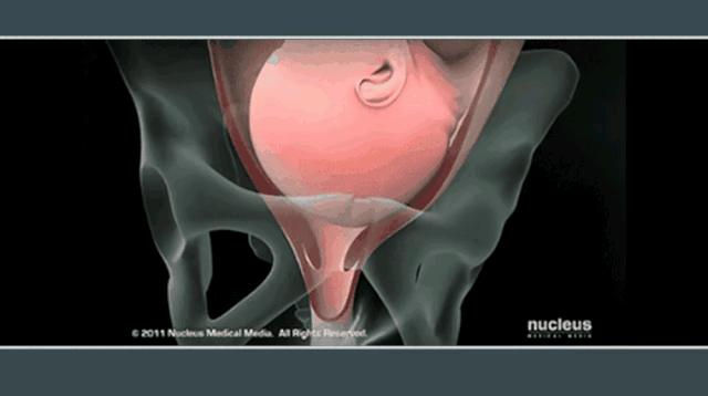 女人生宝宝的科普故事,科普关于女人生孩子