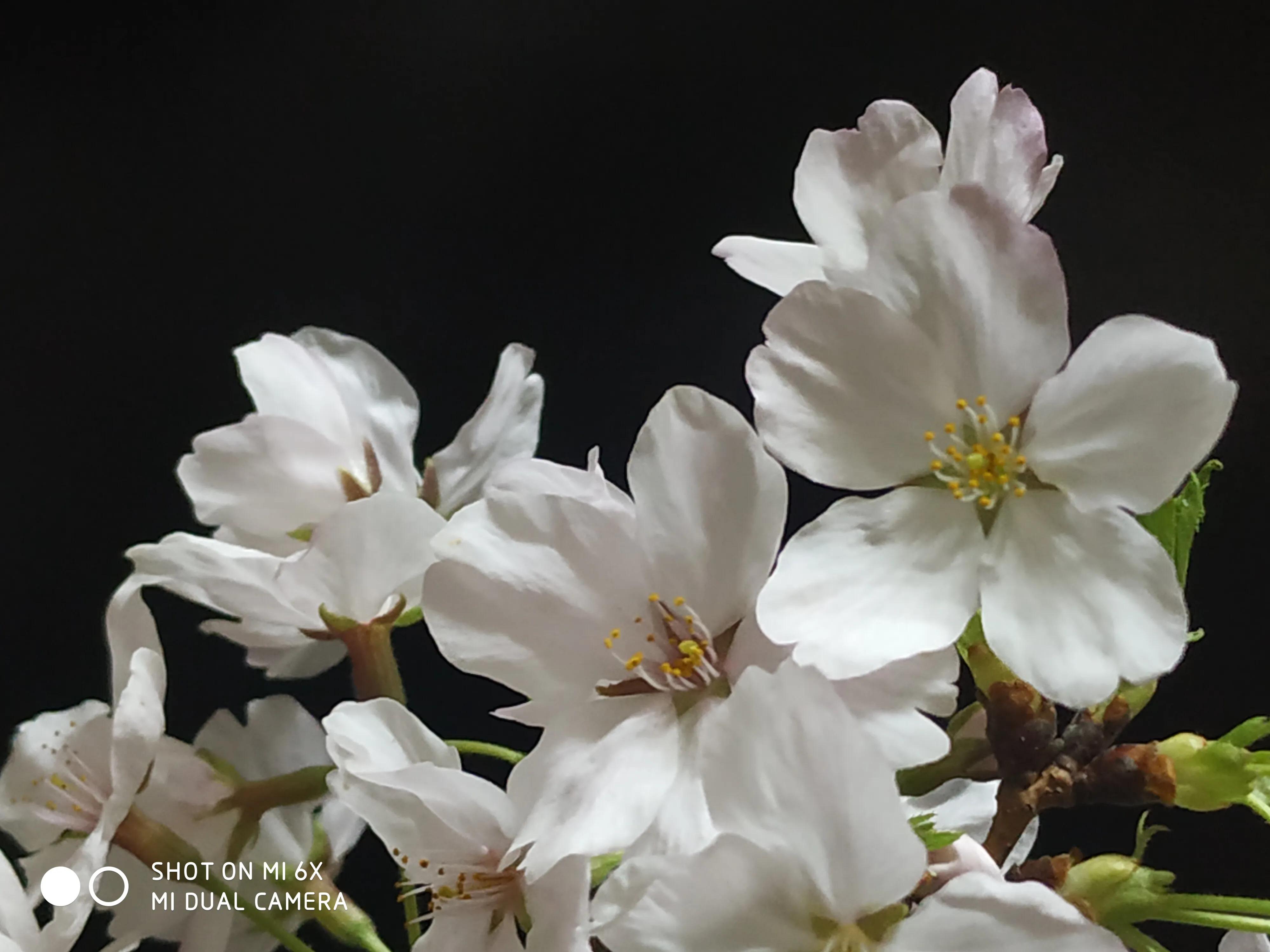 手拍世界手机摄影平台,手机摄影平台手拍世界