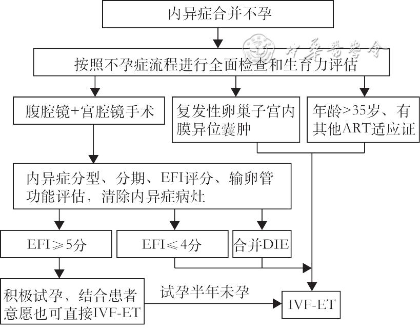 子宫内膜异位症诊治指南2018,子宫内膜异位症诊治指南第三版