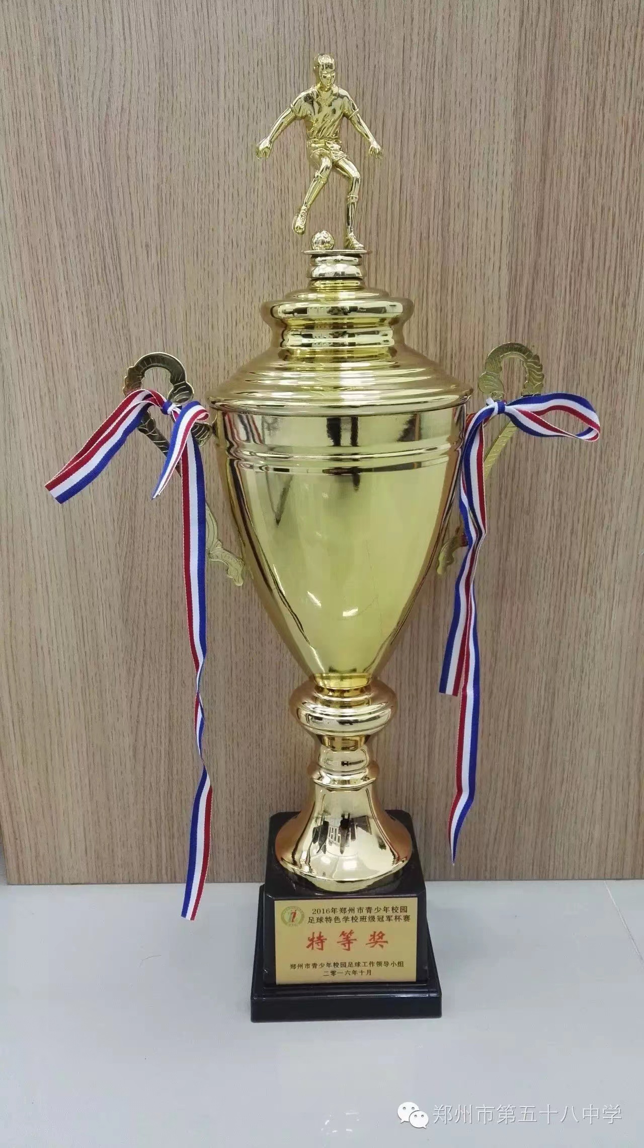 喜报我校喜获多项市级荣誉,喜报学校获殊荣