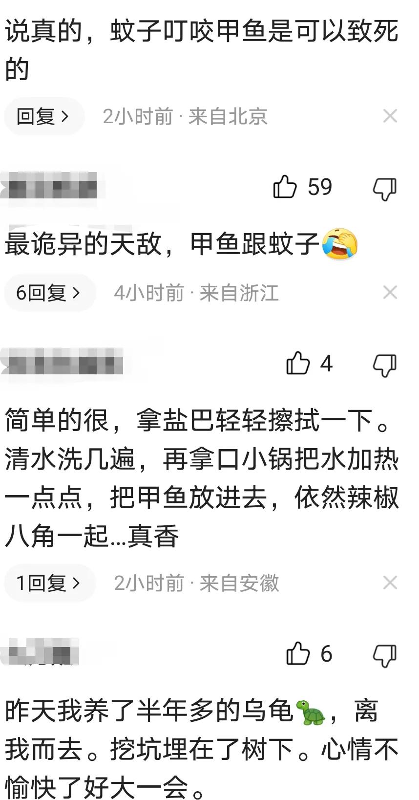 甲鱼被蚊子咬了会死科学解释,甲鱼被蚊子叮头肿成球求助