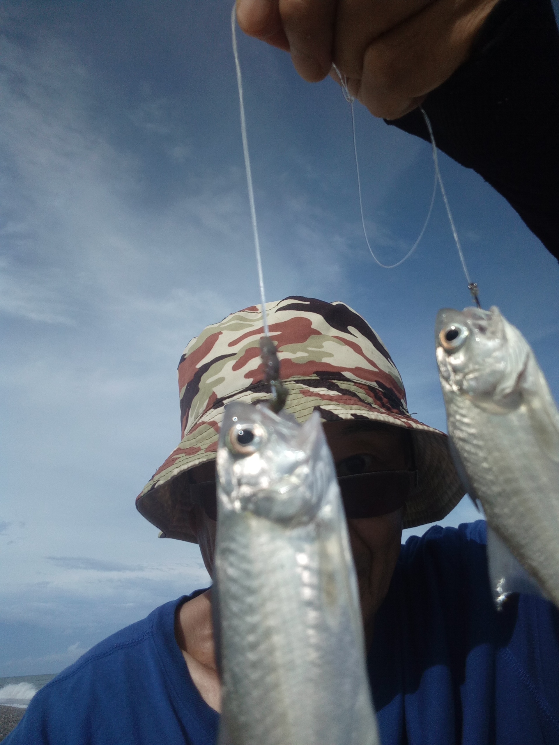 海钓花莲,花莲海钓视频全集