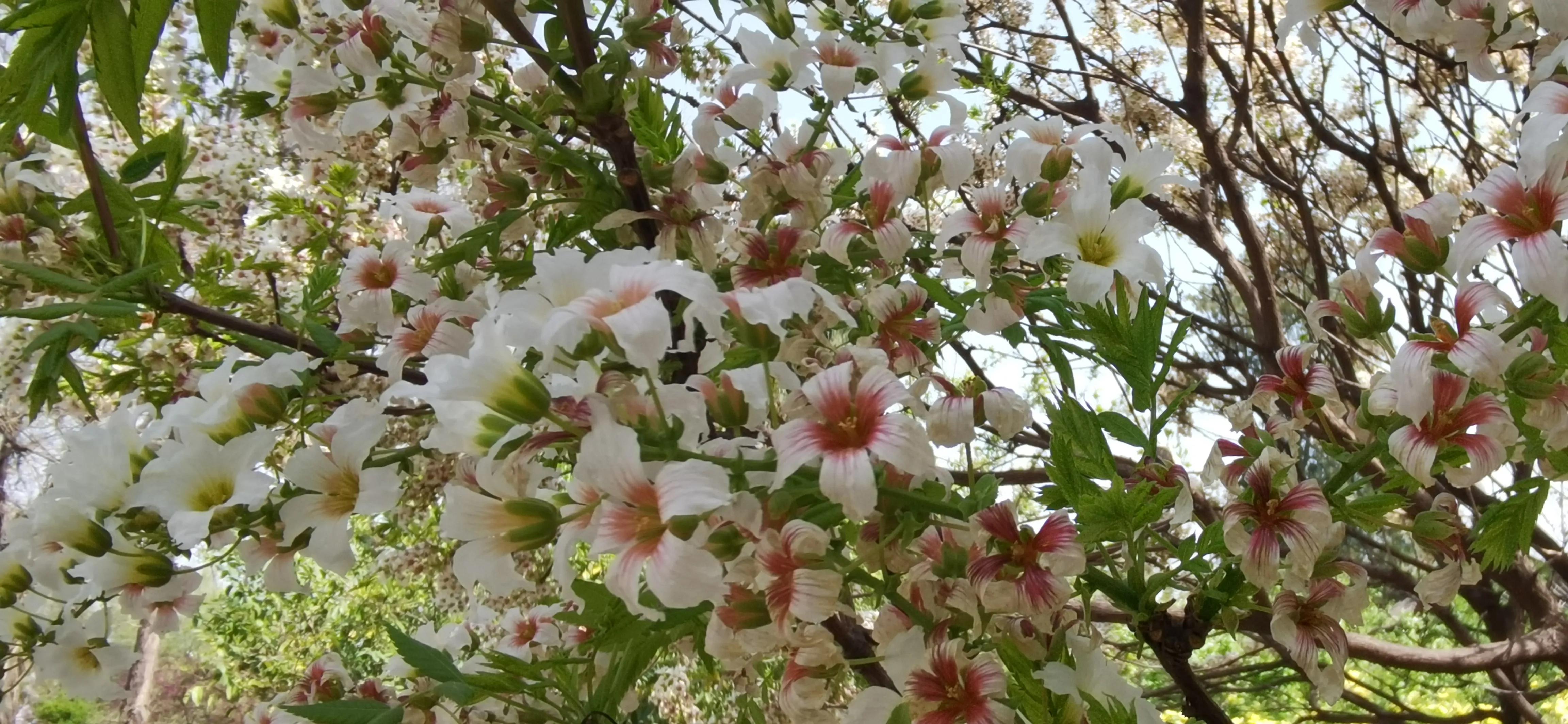 三原初见婚纱,三原一街两巷