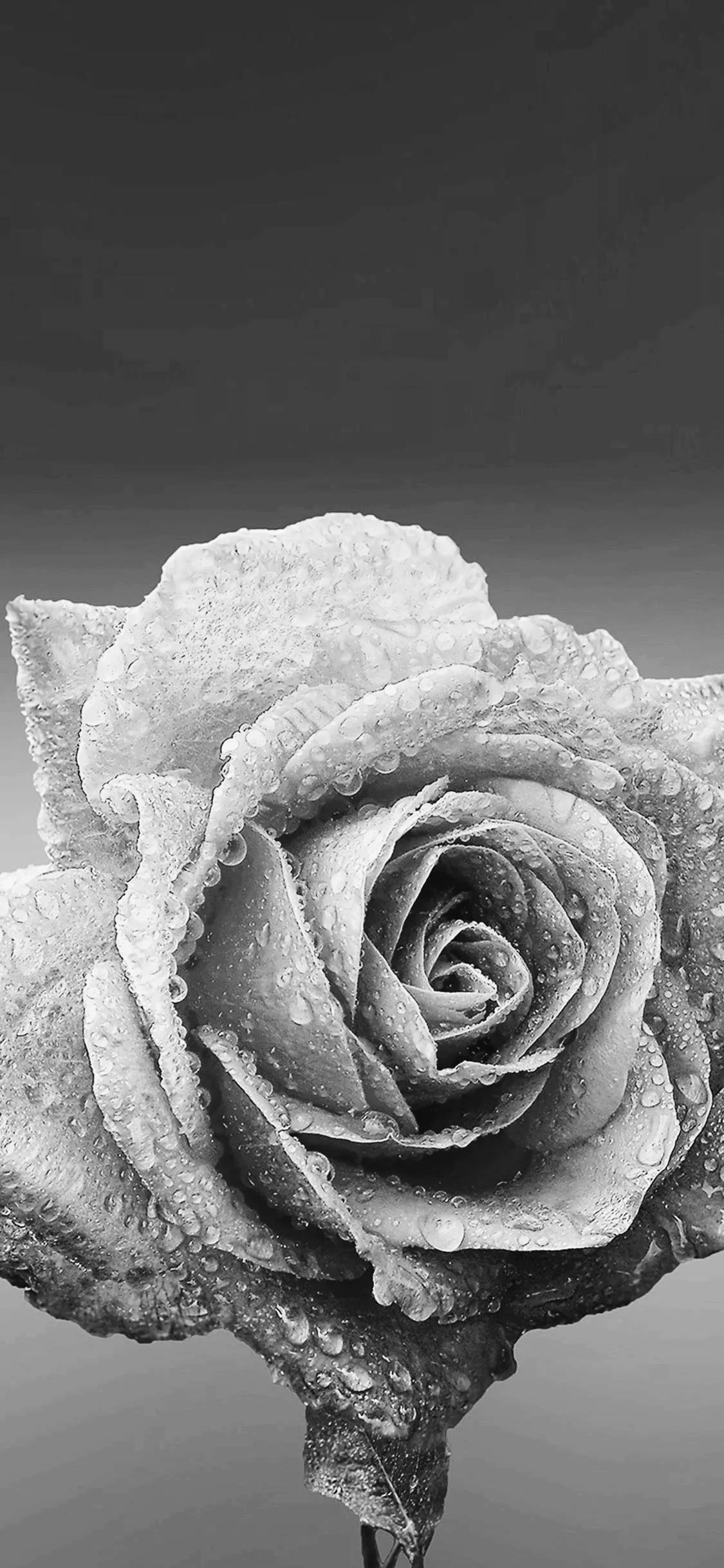 黑暗系的壁纸文字,黑暗色系的壁纸