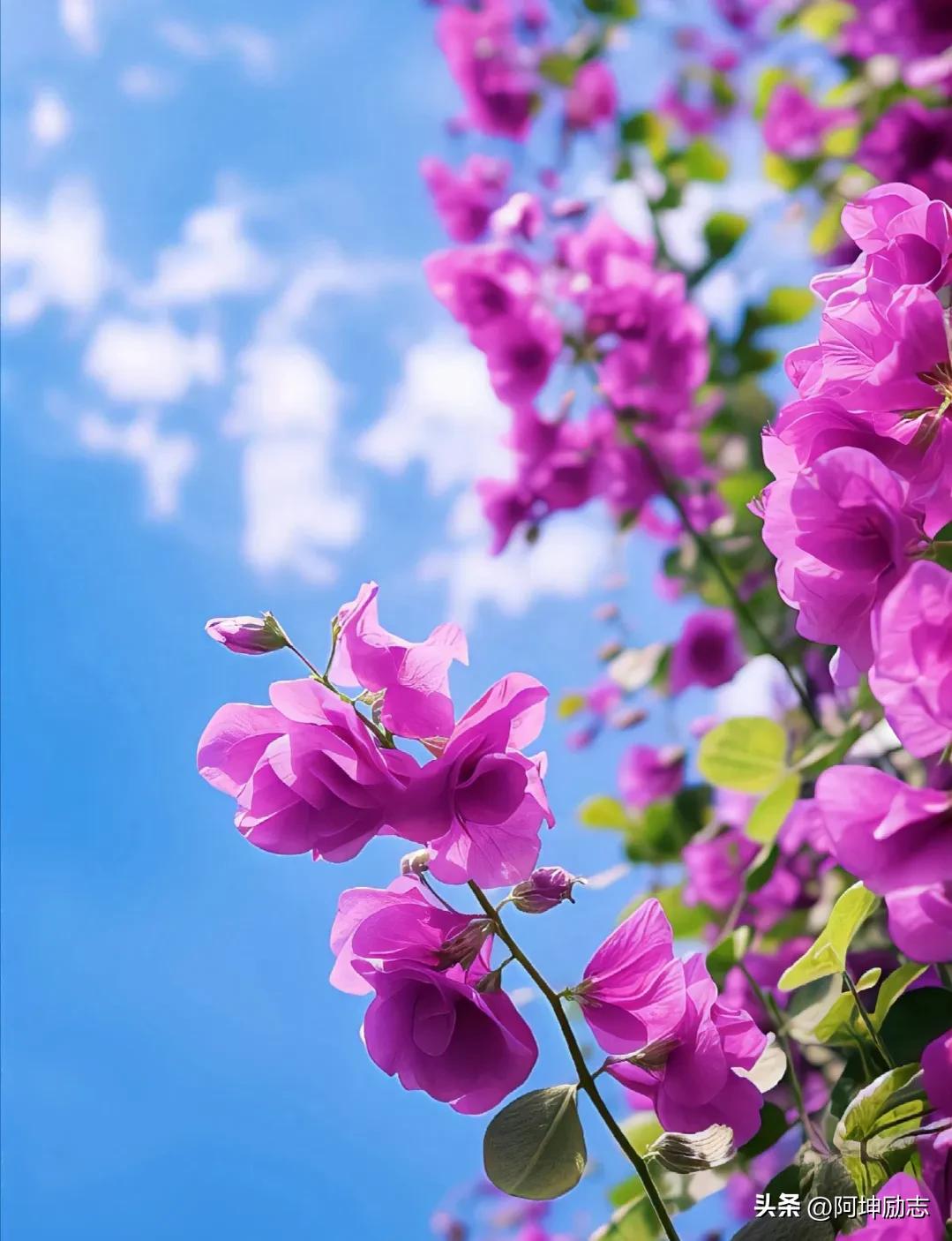 如何治愈心理受过的伤,如何治愈背叛出轨带来的心灵创伤