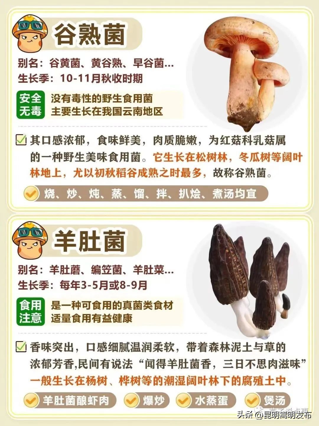 孩子开车撞人去自首,儿子开车撞人最后自首