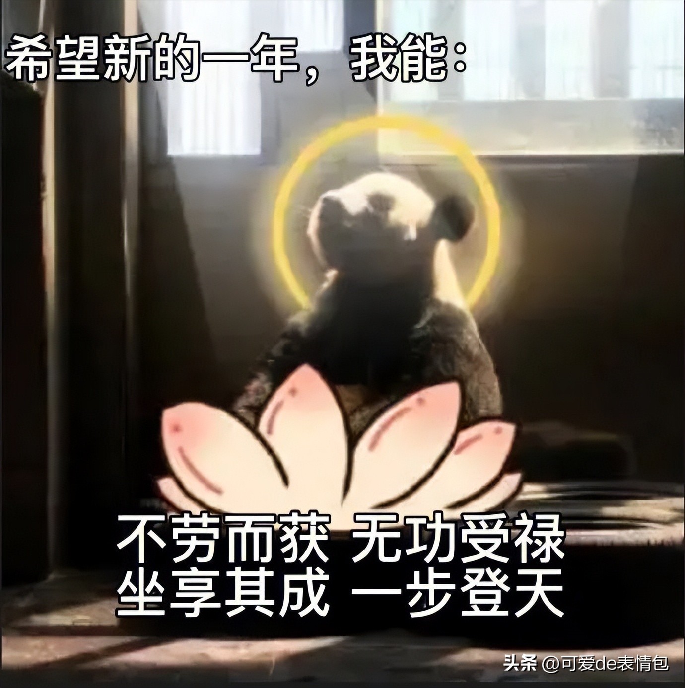 抖音黑人老嫂子搞笑表情包合集