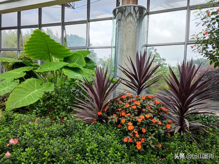 昆明世博园最值得看的有哪些景点,昆明世博园哪里看花最好看