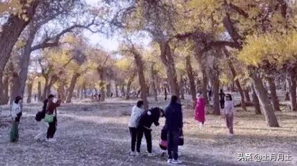 上班时间小职员被老板抓,上班时间被老板抓到玩游戏怎么办