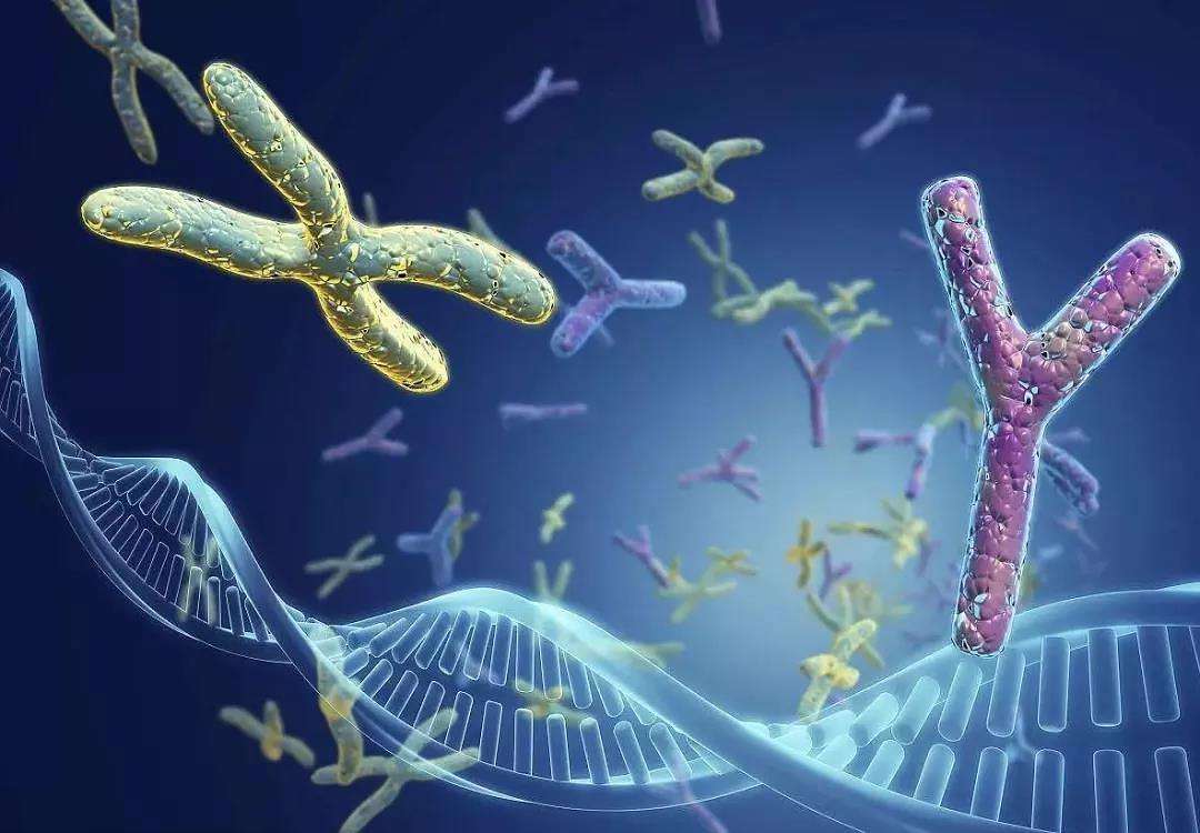 人类第一个女人是哪里来的,每个人都是女人生的吗