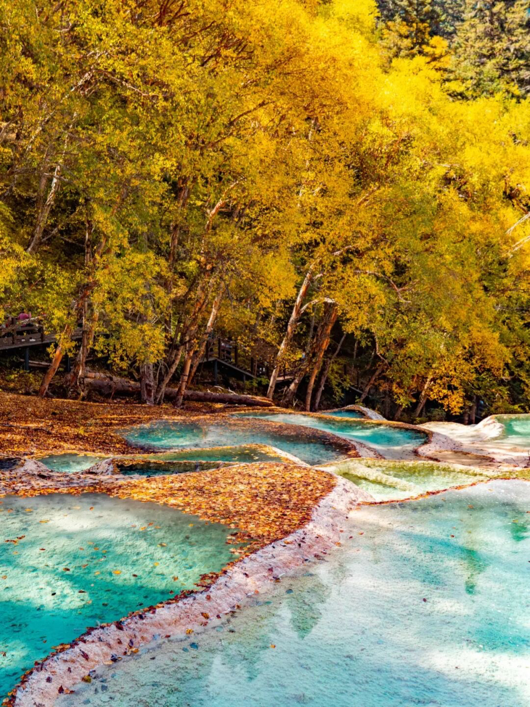 成都秋天一天游最佳地方,成都周边一日游自驾秋天