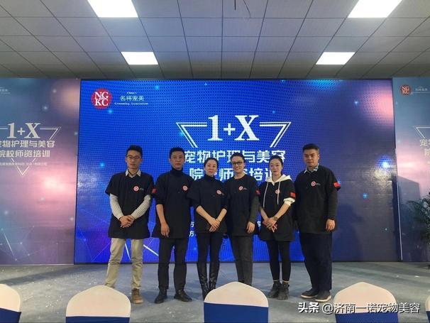 怎样成为宠物美容师的条件与要求,宠物美容师如何成为美容培训讲师